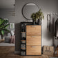 Black and Light Wood Shoe Storage Cabinet with 3 Compartments