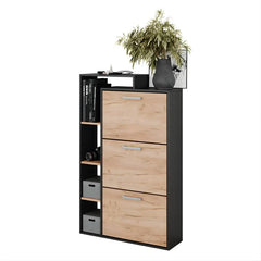 Black and Light Wood Shoe Storage Cabinet with 3 Compartments